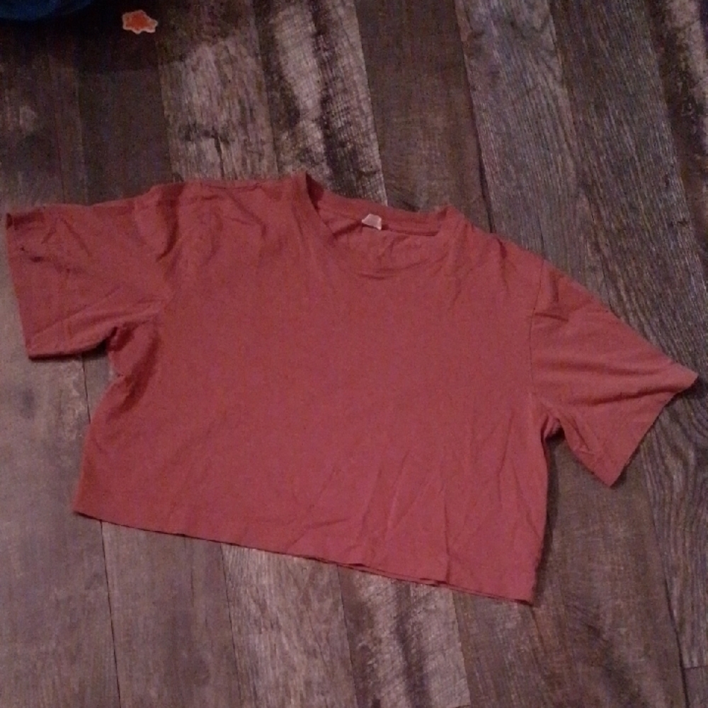 Wilfred Free Red Clay Crop Top Tshirt